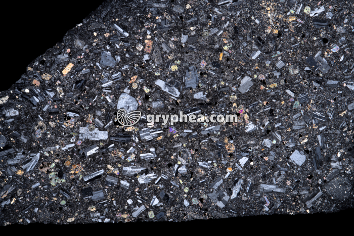 Andésite LPA x1,5 - gryphea.org